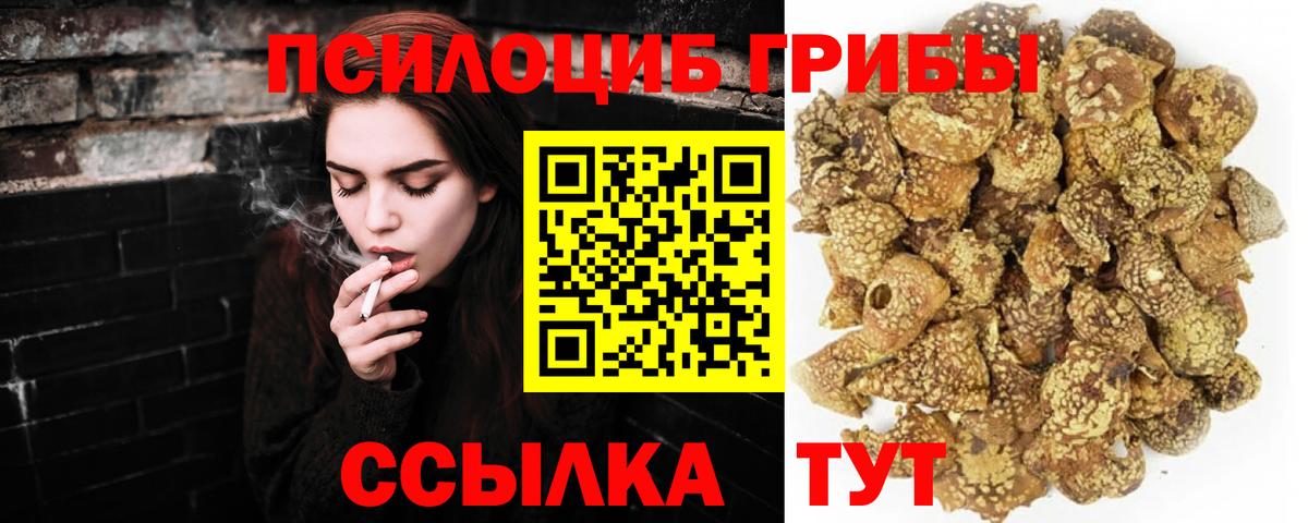 Псилоцибиновые грибы мицелий Прокопьевск