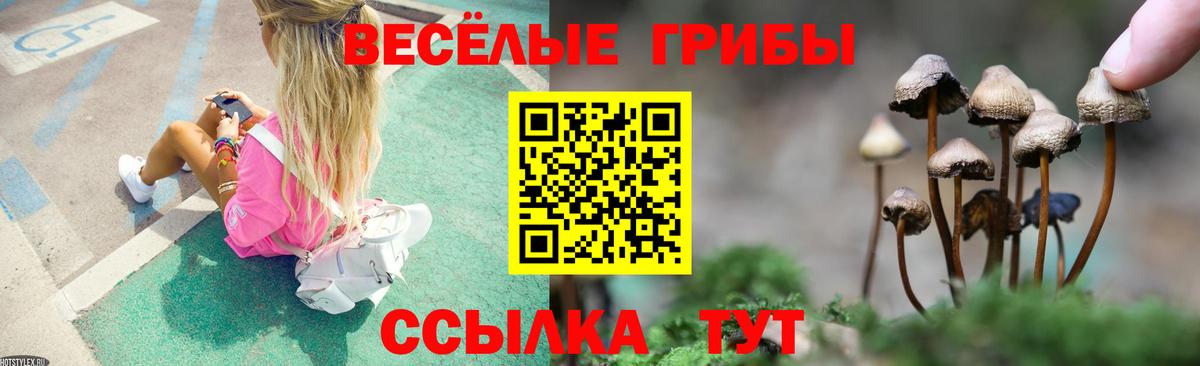 Прокопьевск  Псилоцибиновые грибы MAGIC MUSHROOMS  Галлюциногенные грибы Psilocybe  Вход с VPN 